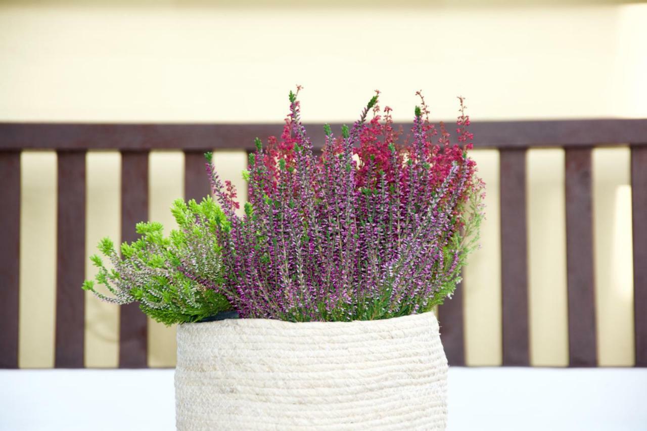 La Terrazza Di Isabel Villa Roma Eksteriør bilde